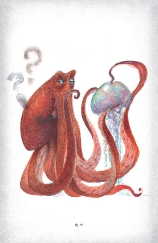 Armel Gaulme, The BESTiary