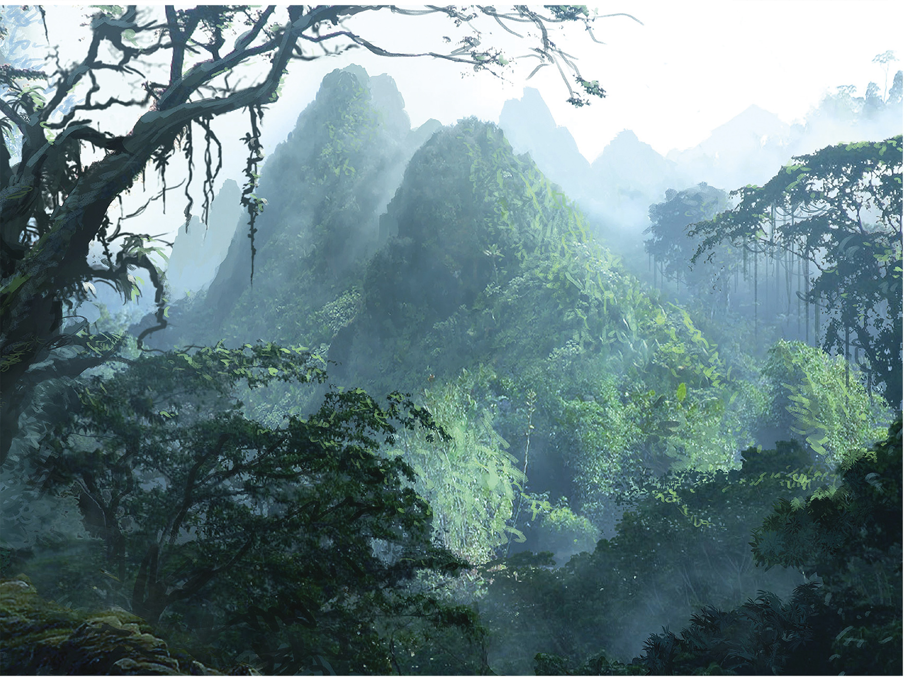 Worlds de Raphael Lacoste. Peinture numérique d'une forêt vierge. L'Amazonie verdoyante.