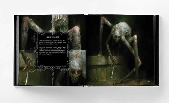 L'observateur de la nuit, dans Abominations de Bjorn Hurri.