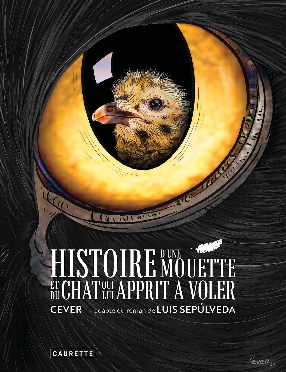 Caurette – Mouette et Chat – Cever + Sepulveda Mouette et Chat