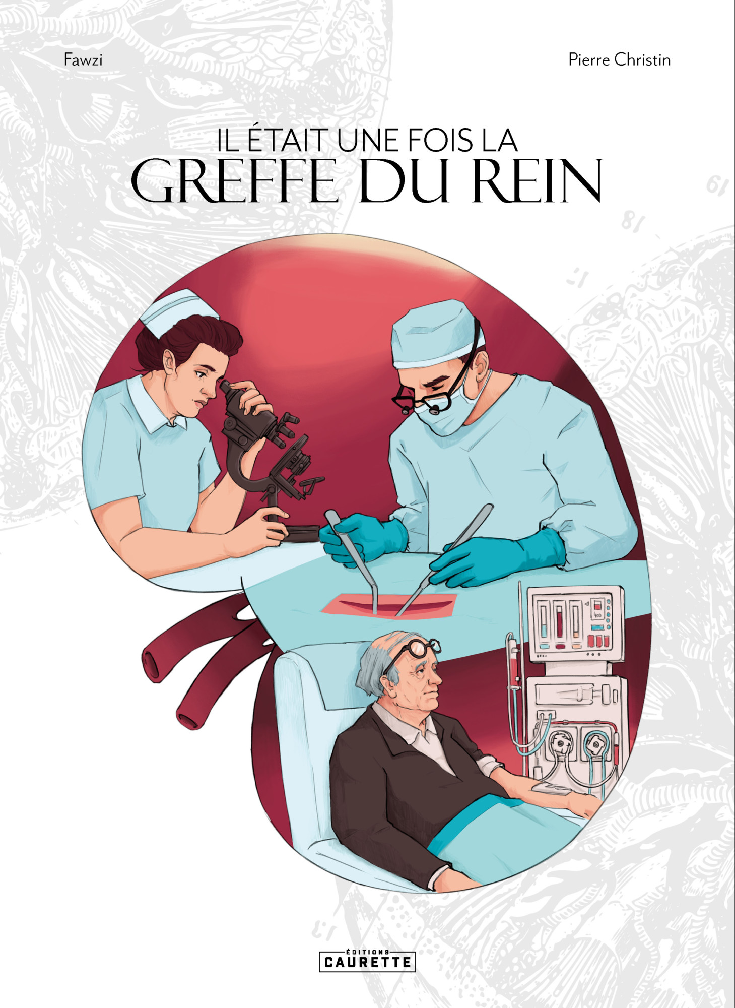 Greffe du rein