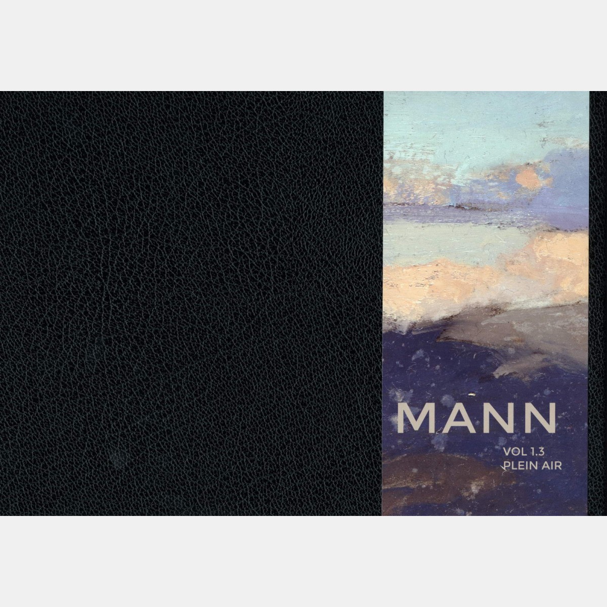 mann-vol-13-plein-air