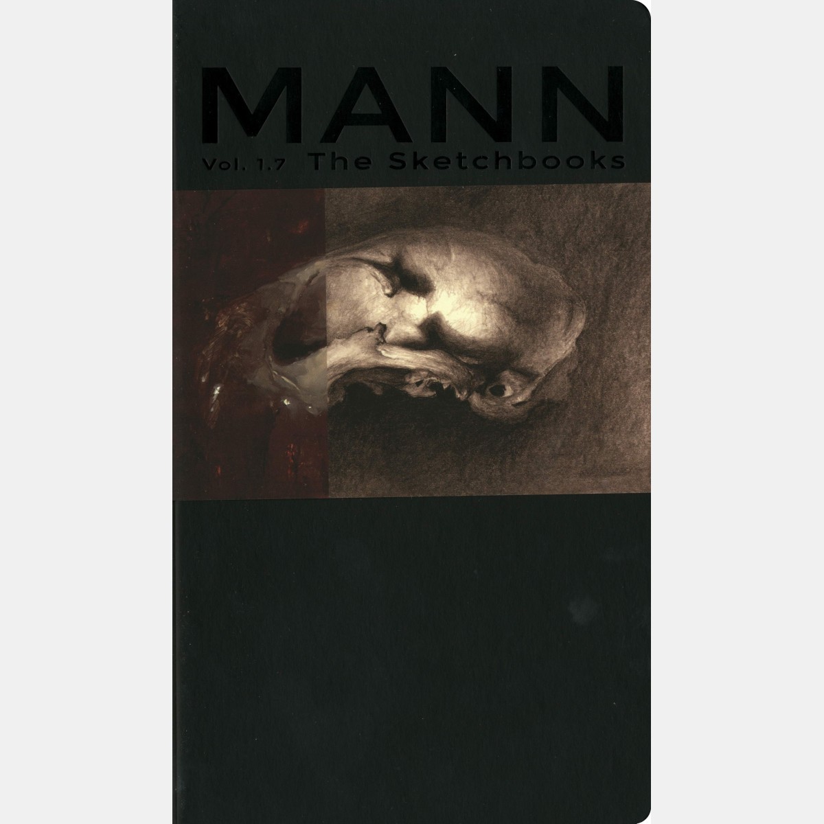 mann-vol-17-the-sketchbooks