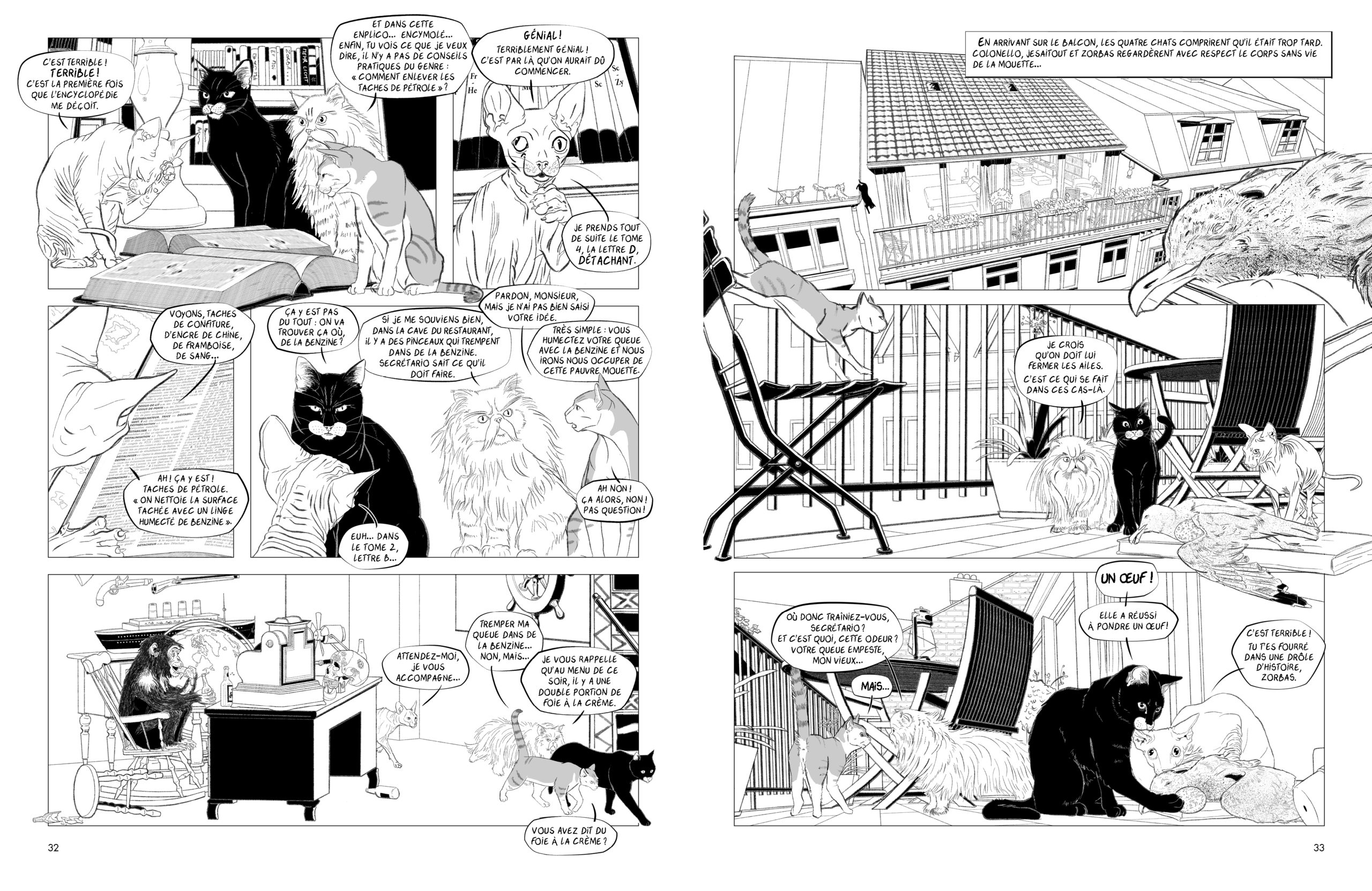 Mouette et chat Mouette et chat