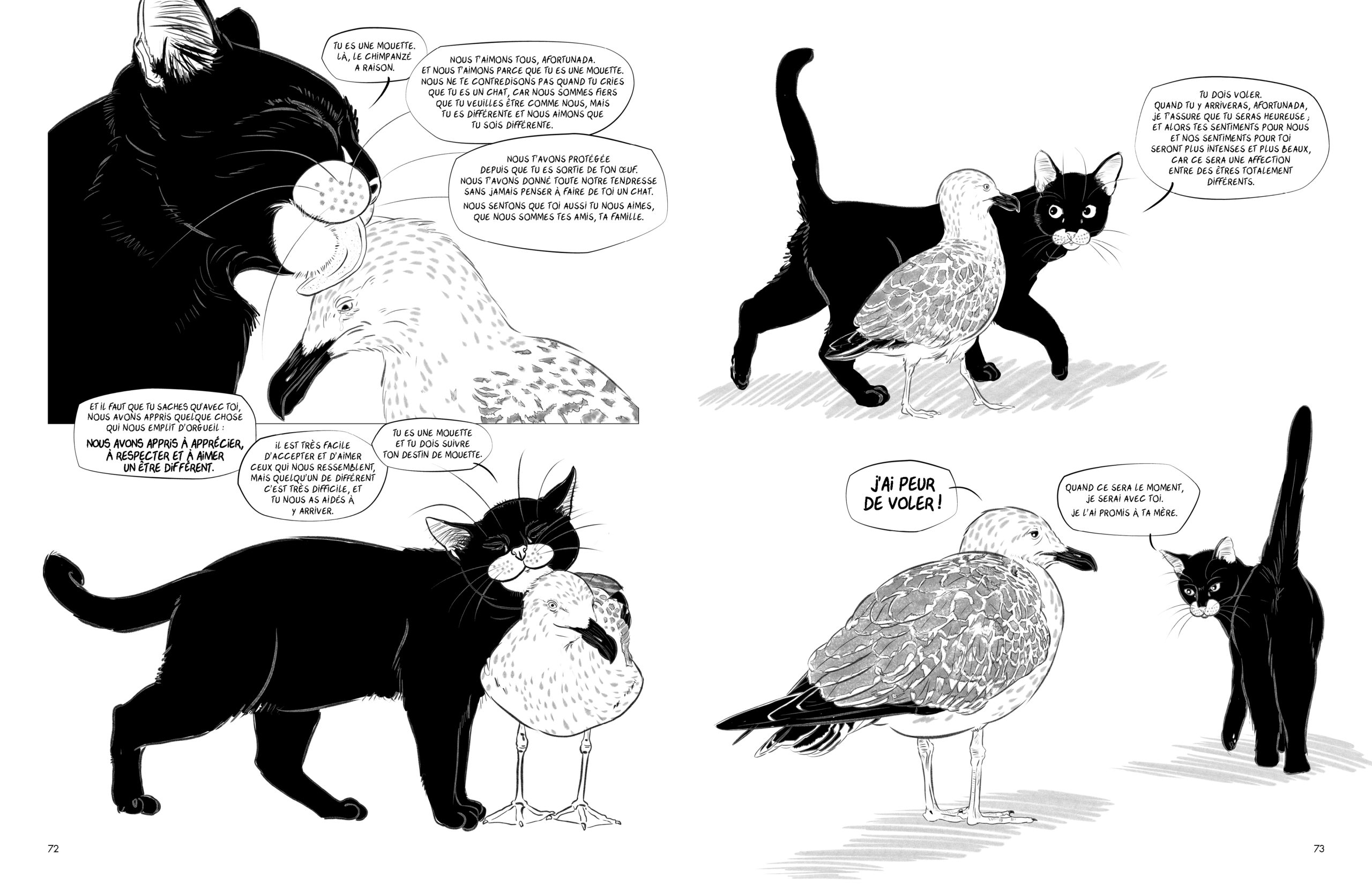 Caurette – Everaerts – Mouette – HD35 Mouette et chat