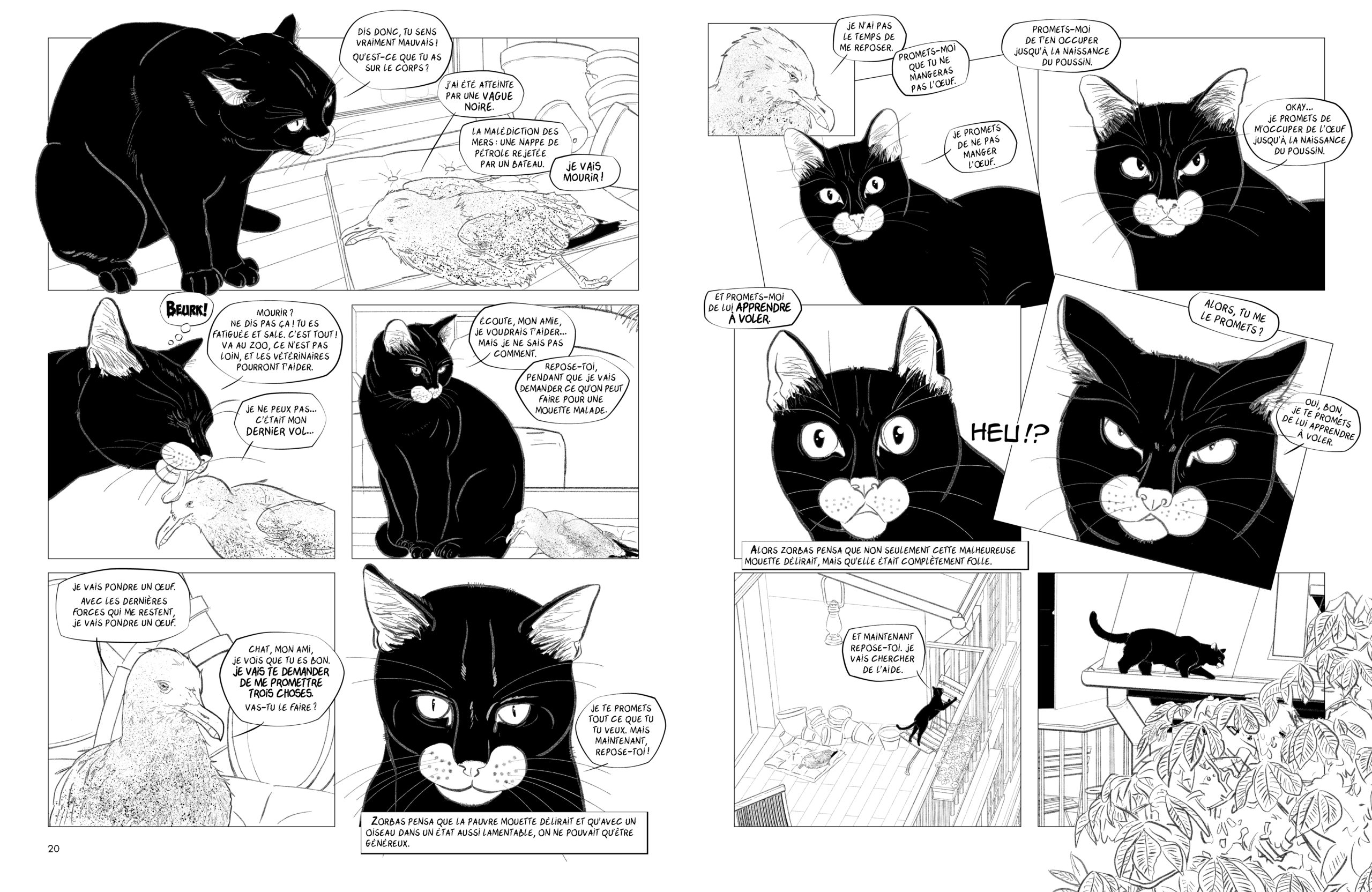 Mouette et chat Mouette et chat