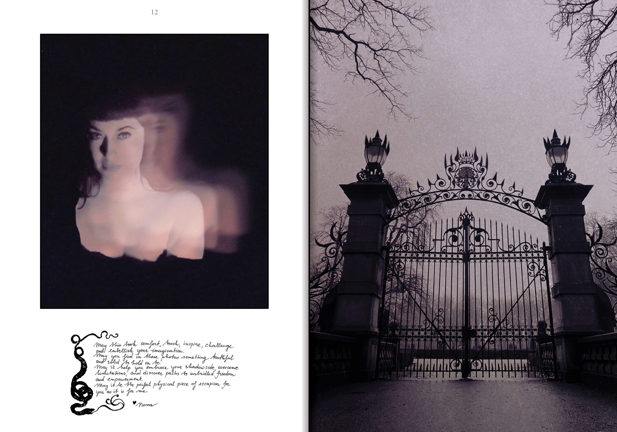 The Age of the Succubus