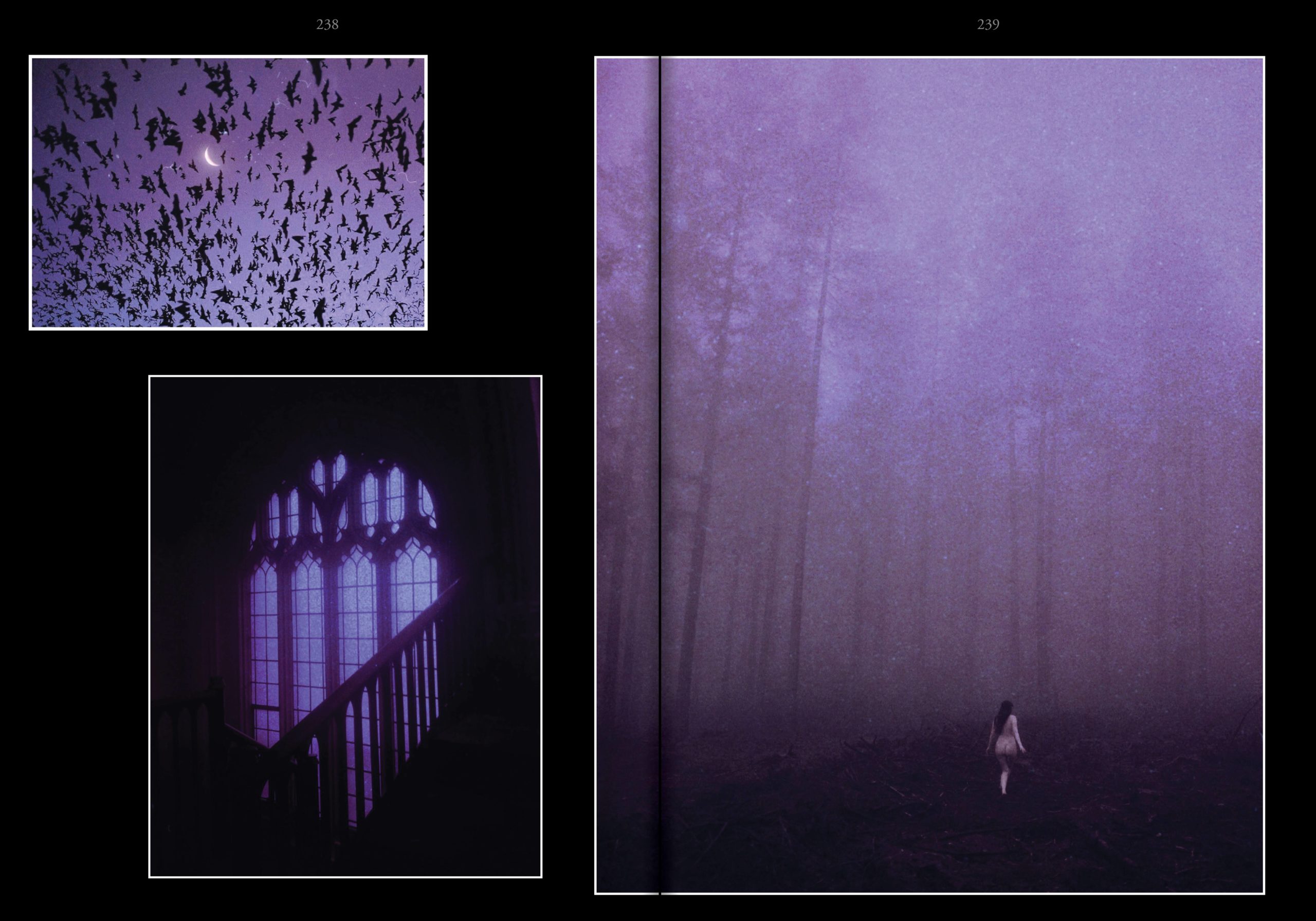 The Age of the Succubus