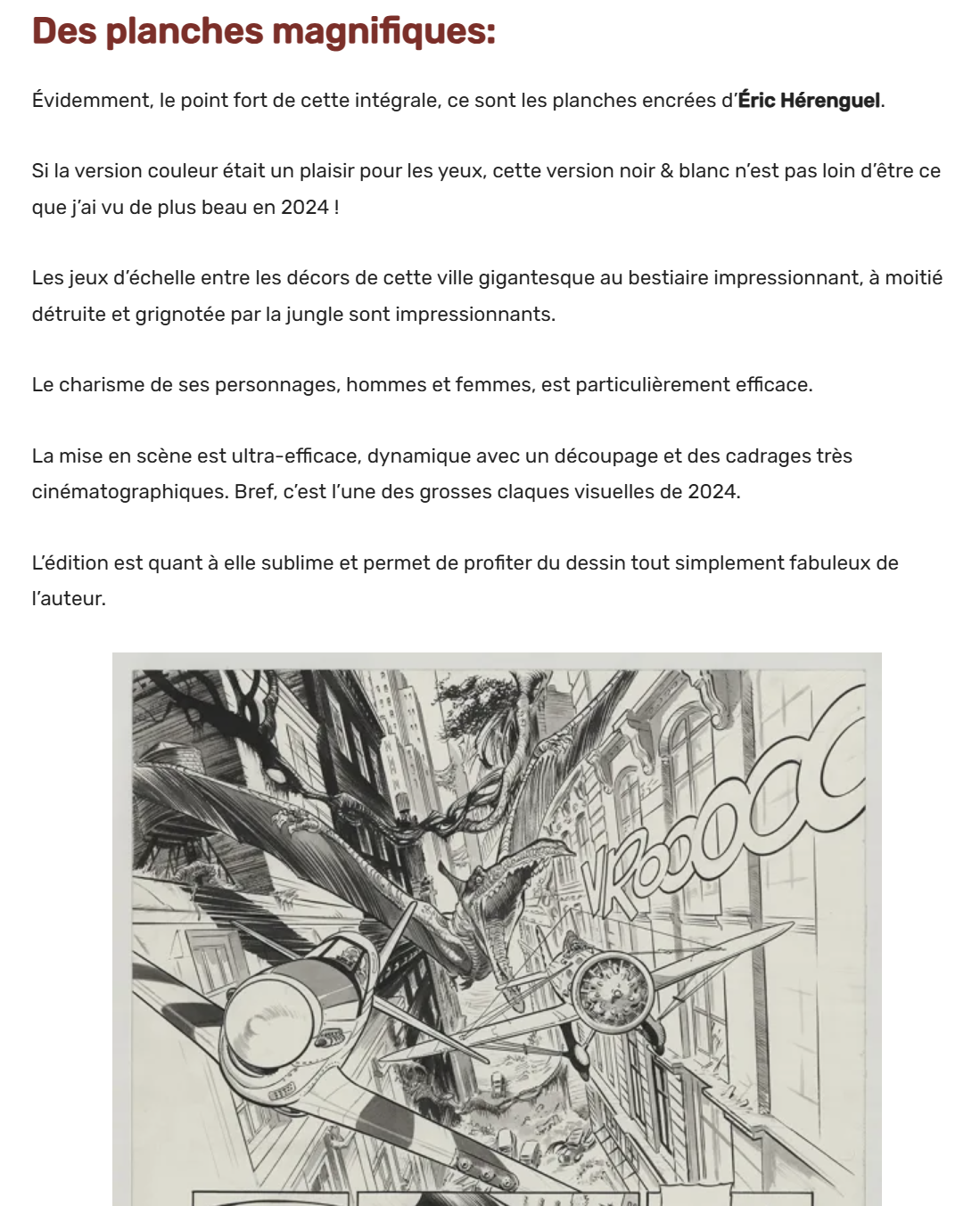 The Kong Crew Intégrale luxe